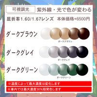 サングラス度付き変更オプション【通常カラー・偏光・調光・可視光調光も選べる】