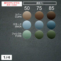 3800円 サングラス GATSBY ギャッビー GY19-050 54□ C-3 / 度付きサングラス 7000円