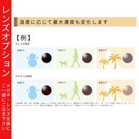 可視光調光レンズ 紫外線・光(可視光)で色が変わるレンズ 【レンズオプション】※オプションの併用不可 サングラスにはお付けできません