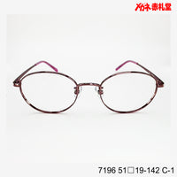 レンズ付3800円 7196 C-1 51□19-142