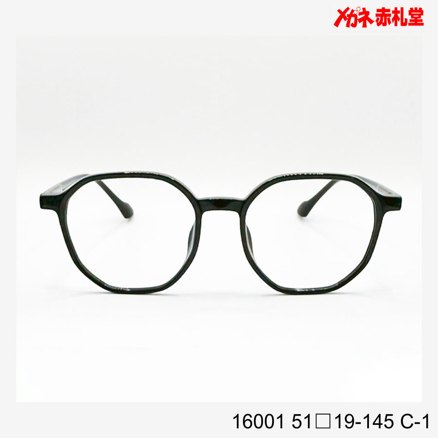 レンズ付4800円　16001　51□19-145　C-1