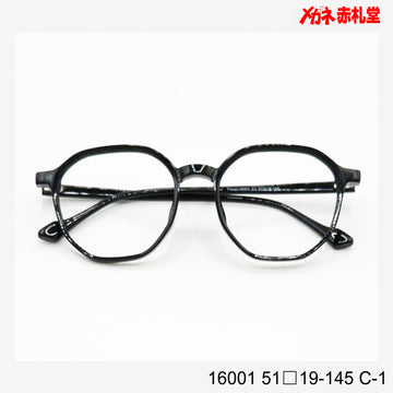 レンズ付4800円　16001　51□19-145　C-1