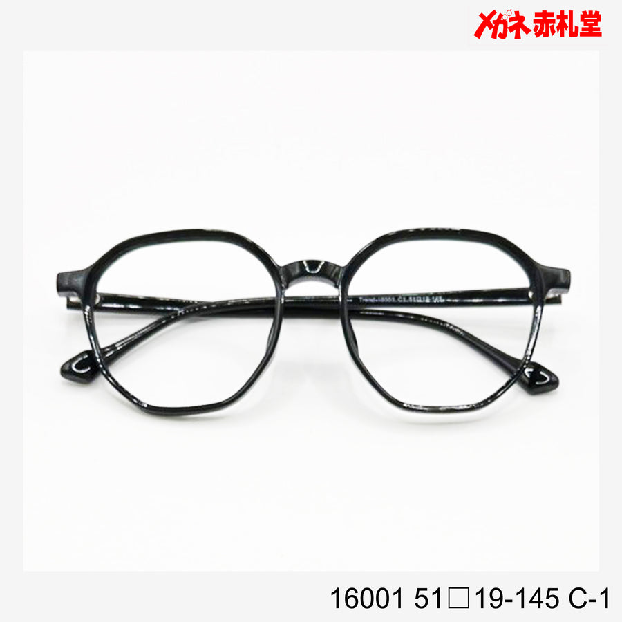 レンズ付4800円　16001　51□19-145　C-1