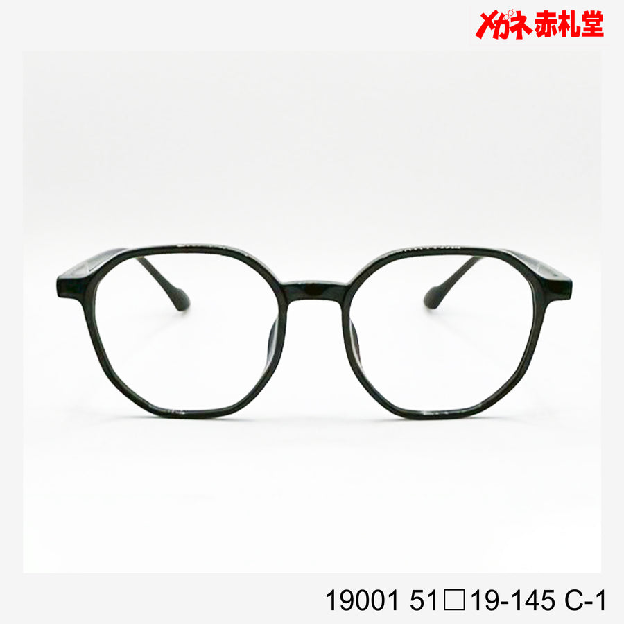 レンズ付4800円　19001　51□19-145　C-1