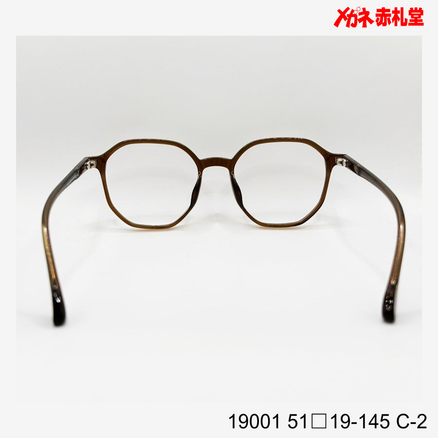 レンズ付4800円　19001　51□19-145　C-2