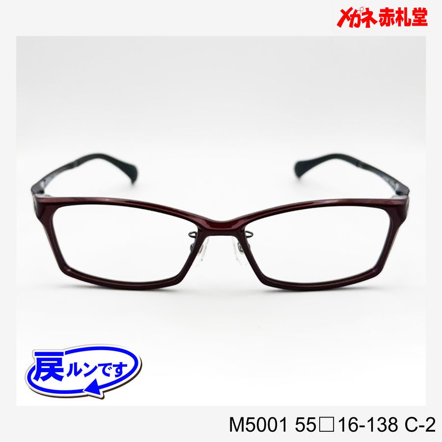 レンズ付7800円 戻ルンです　M5001　55□16-138　C-2