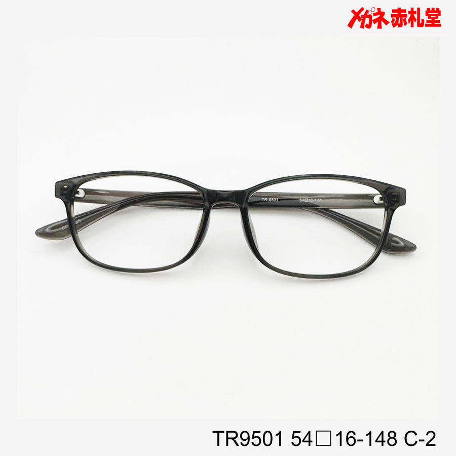 レンズ付3800円　TR9501　54□16-148　C-2