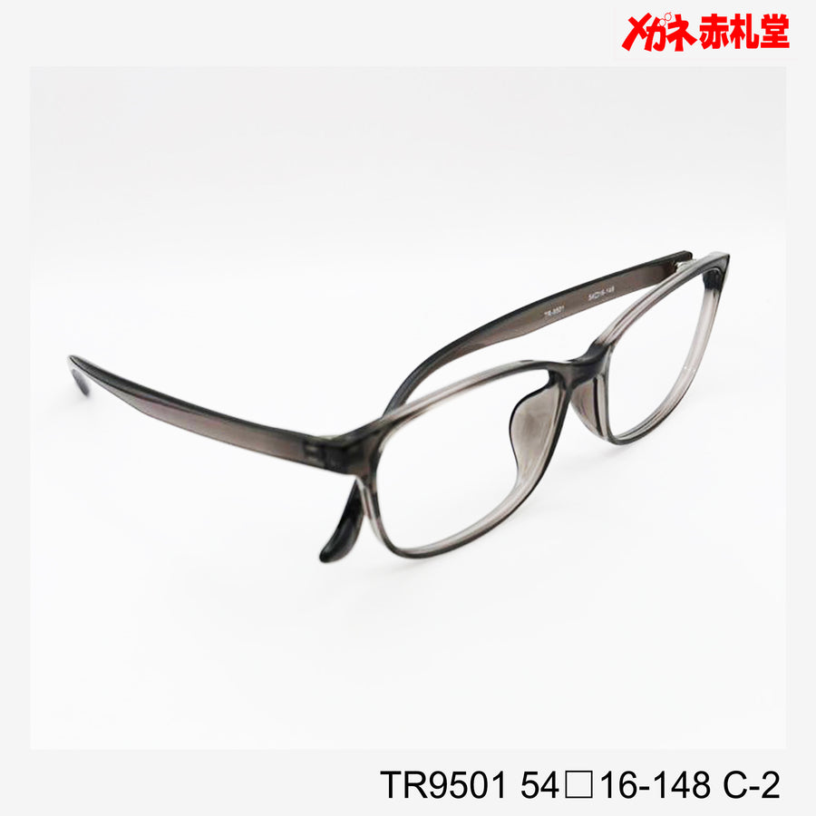 レンズ付3800円　TR9501　54□16-148　C-2