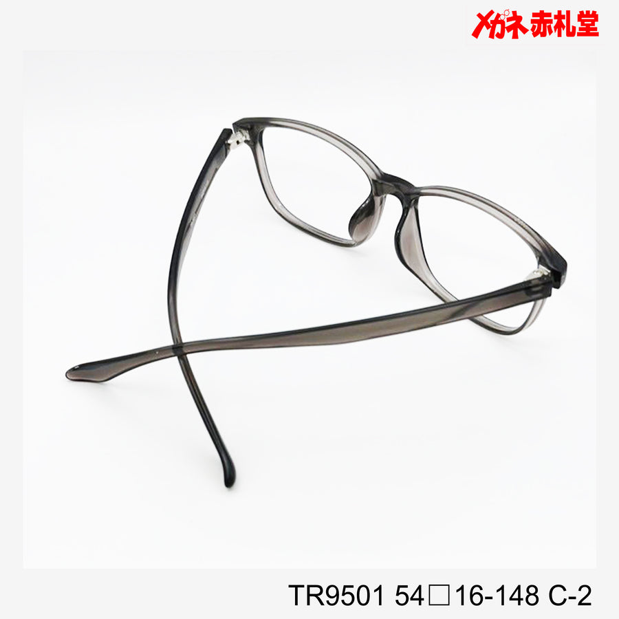 レンズ付3800円　TR9501　54□16-148　C-2